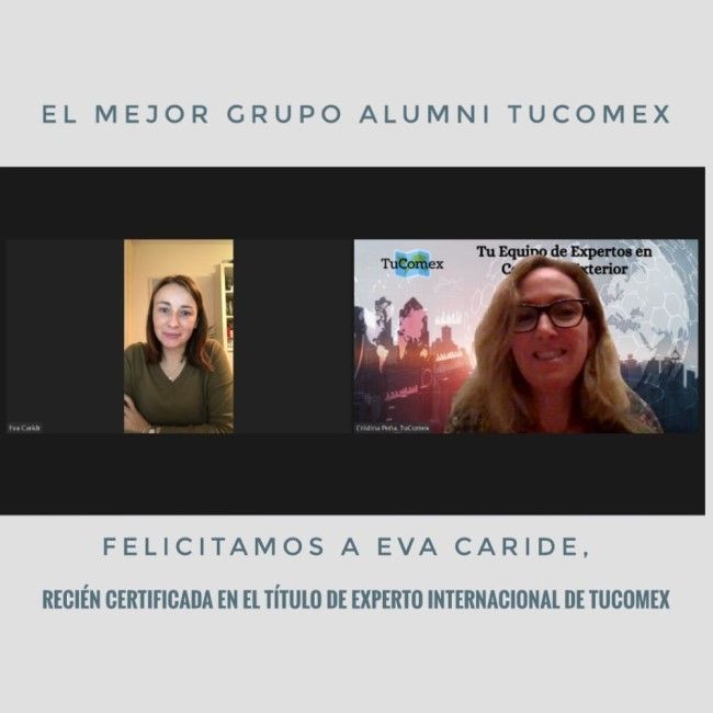 Los profesionales internacionales se forman en la Academia TuComex - Tutoría final de Eva Caride