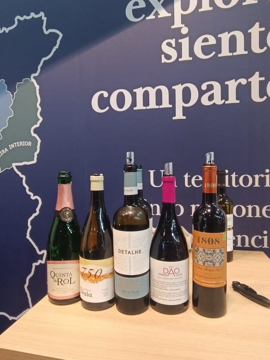 TuComex en la Feria Internacional del Turismo FITUR 2024 - Vinos de la cata maridaje