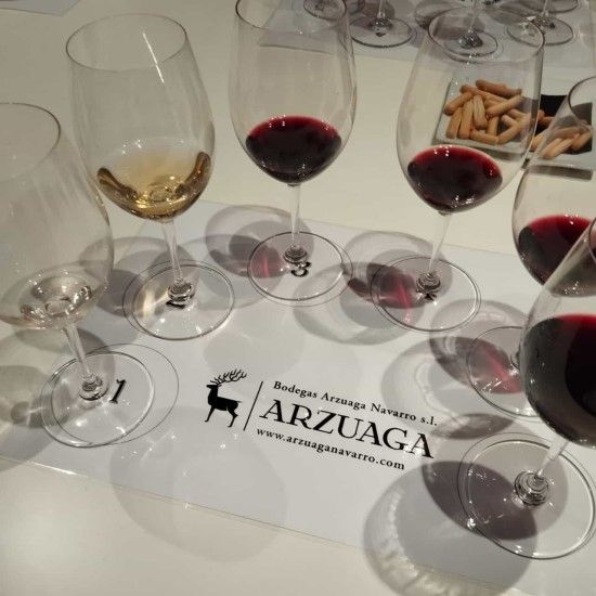 Exclusivo III Curso de cata de vinos de Arzuaga para la Comunidad TuComex - Vinos catados