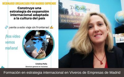 Formación en estrategia internacional en Viveros de Empresas de Madrid
