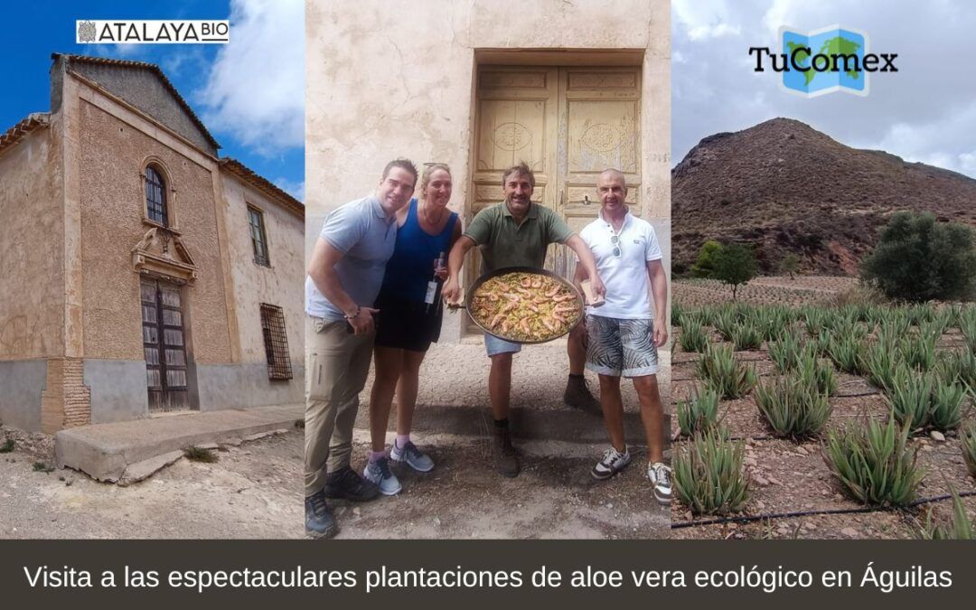 Visita a las espectaculares plantaciones de aloe vera ecológico en Águilas