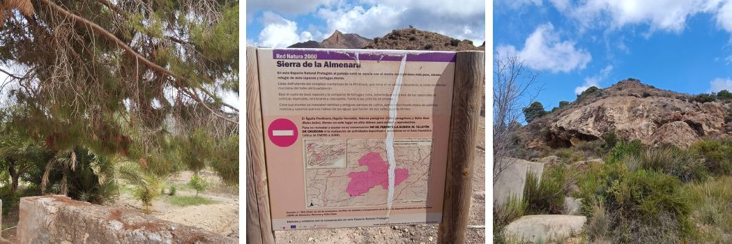 Visita a las espectaculares plantaciones de aloe vera ecológico en Águilas - Finca