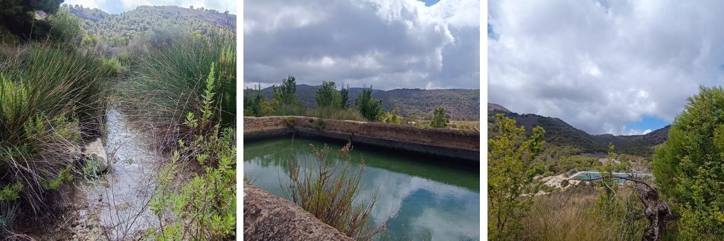 Visita a las espectaculares plantaciones de aloe vera ecológico en Águilas - Manantial