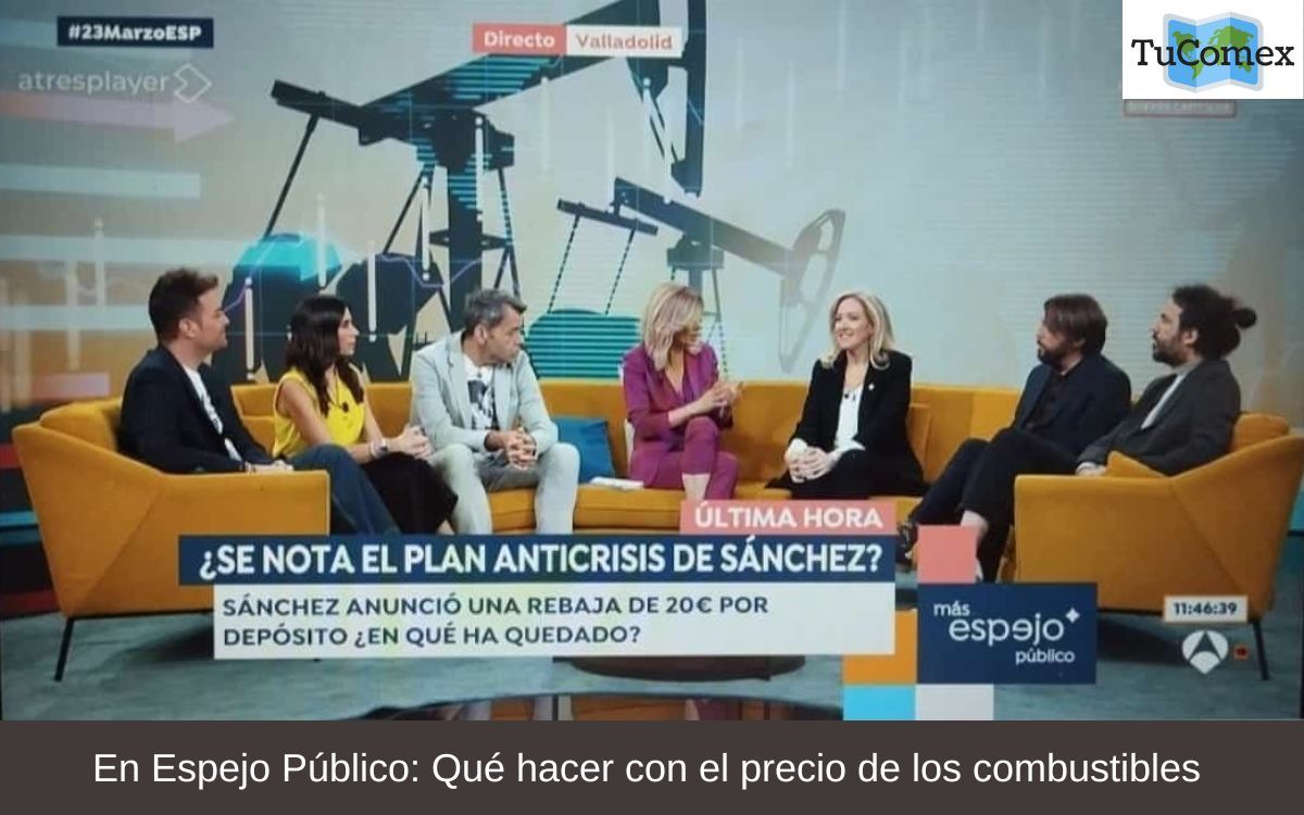 En Espejo Público Qué hacer con el precio de los combustibles
