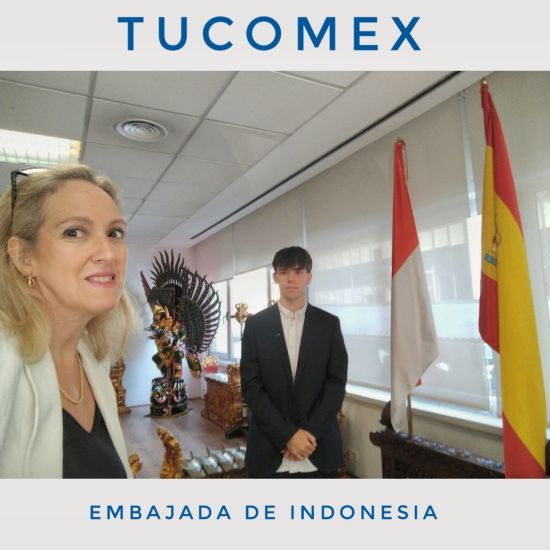 Indonesia un gigante estratégico para la UE y España - TuComex