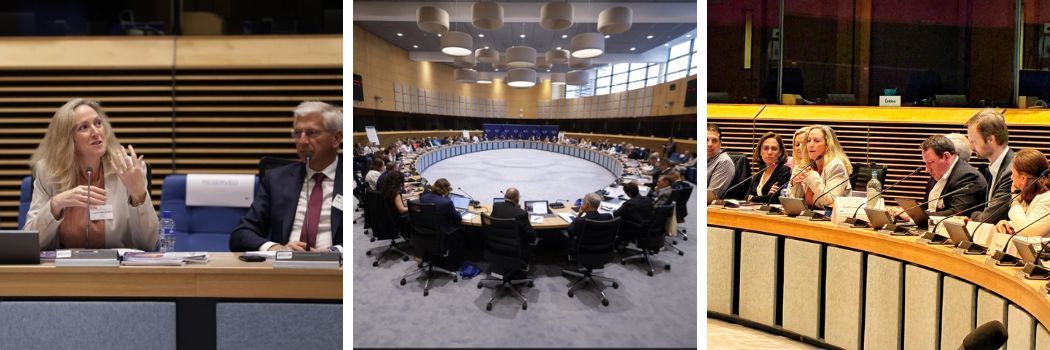 La reunión anual de los EU Trade Champions en Bruselas - Participación de Cristina Peña